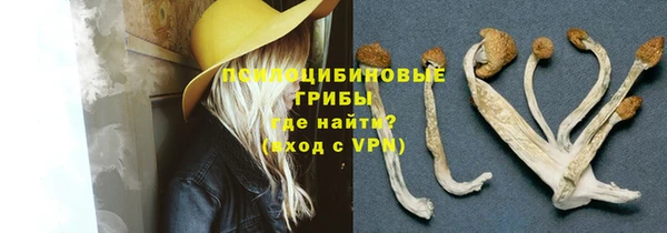 стафф Михайловск