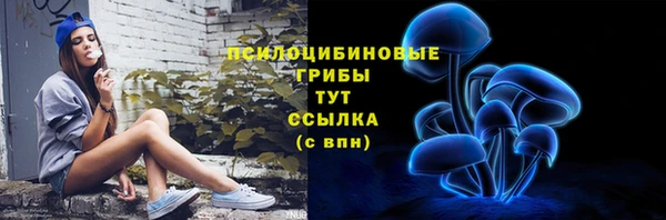стафф Михайловск