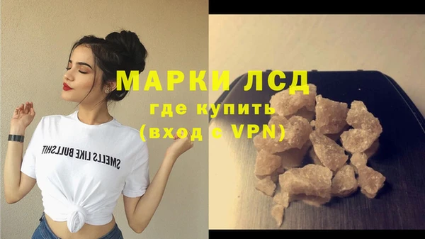 стафф Михайловск