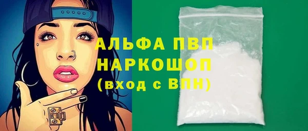стафф Михайловск
