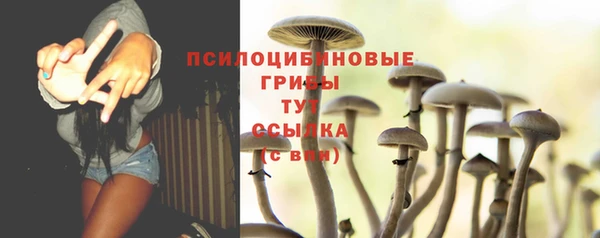 стафф Михайловск