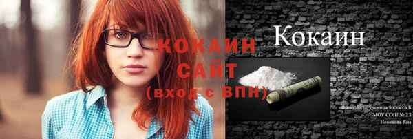 стафф Михайловск