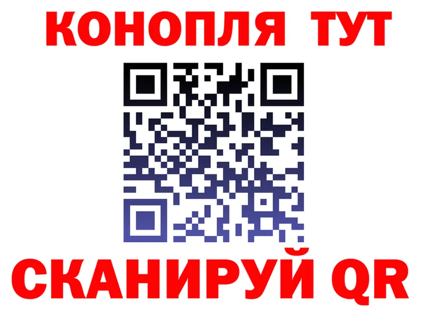 МЕФ 4 MMC вход площадка KRAKEN Онега