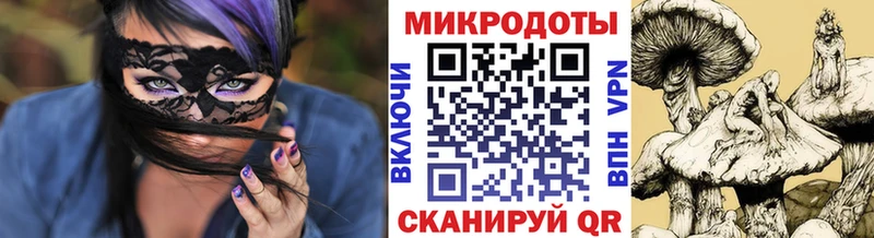 Галлюциногенные грибы мухоморы  Купить  Онега 